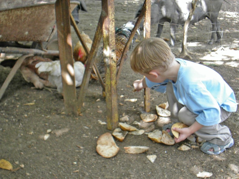 PICT0035.JPG