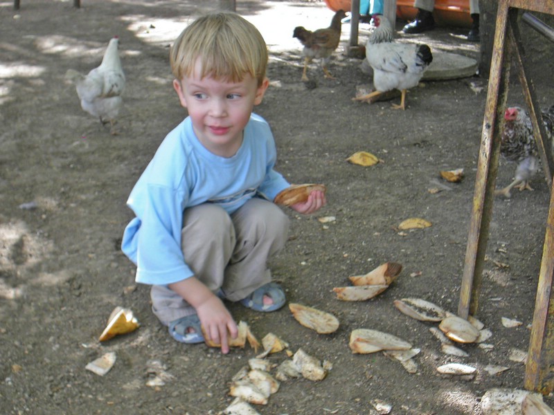 PICT0037.JPG