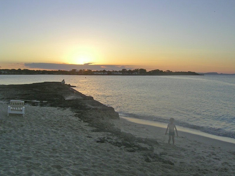 PICT0171.JPG
