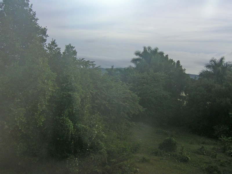 PICT0179.JPG