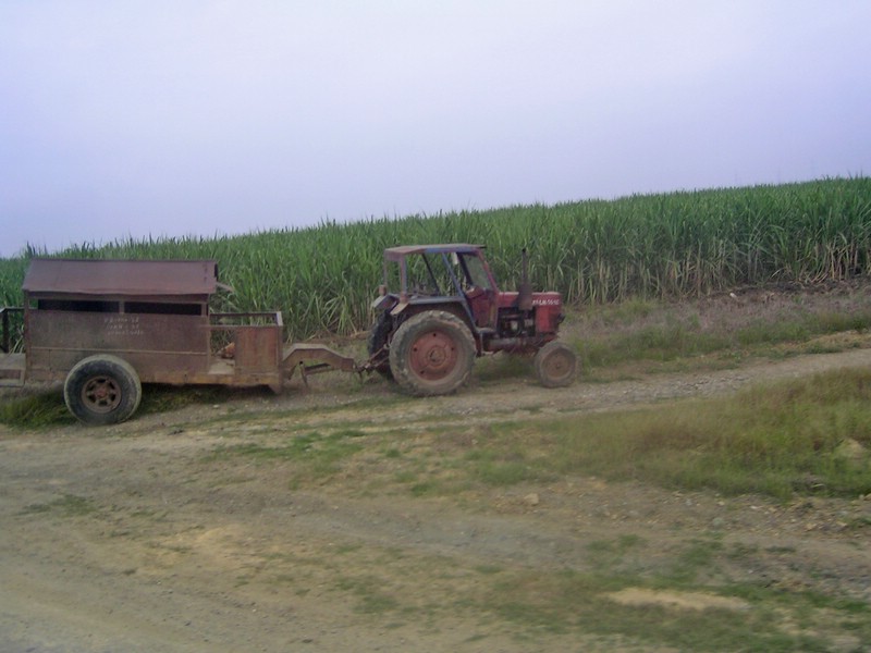 PICT0183.JPG