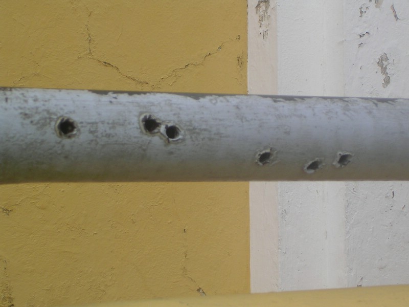 PICT0212.JPG