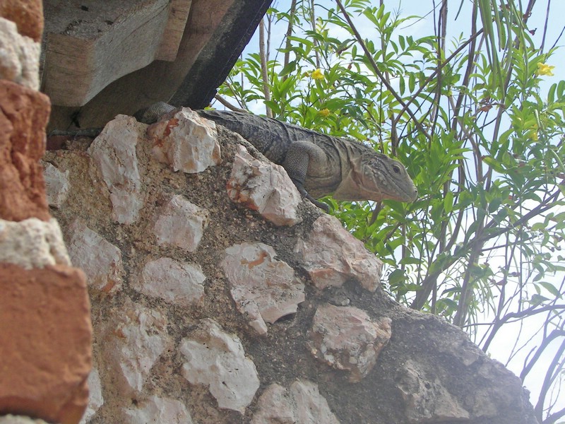 PICT1012.JPG