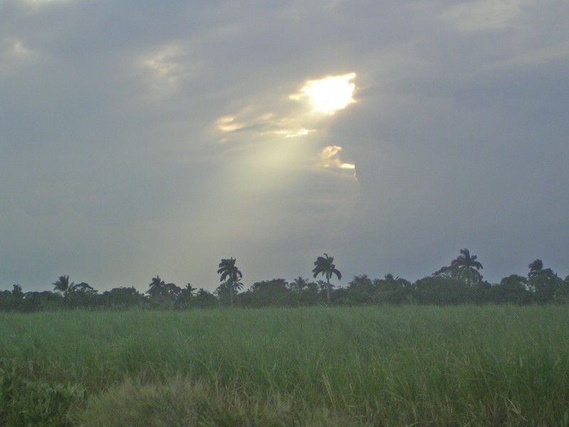 PICT1063.JPG
