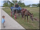 PICT0022.JPG