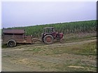 PICT0183.JPG