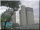 PICT0204.JPG
