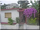 PICT0209.jpg