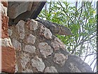 PICT1012.JPG