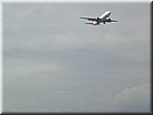 PICT1018.JPG
