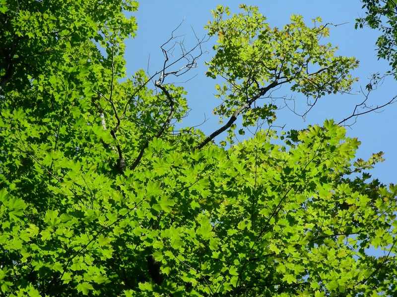DSCN1643.JPG
