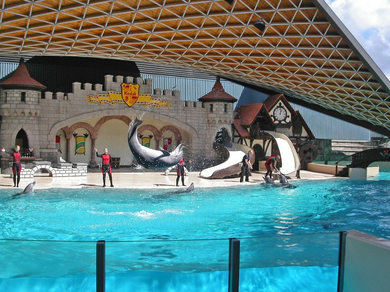 PICT0080.jpg