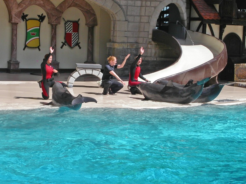 PICT0087.jpg