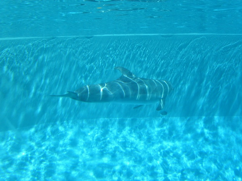 PICT0093.jpg