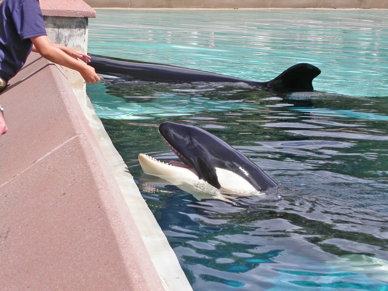 PICT0111.jpg