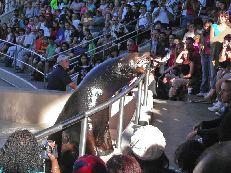PICT0213.jpg