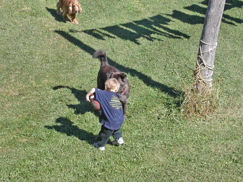 PICT0220.jpg