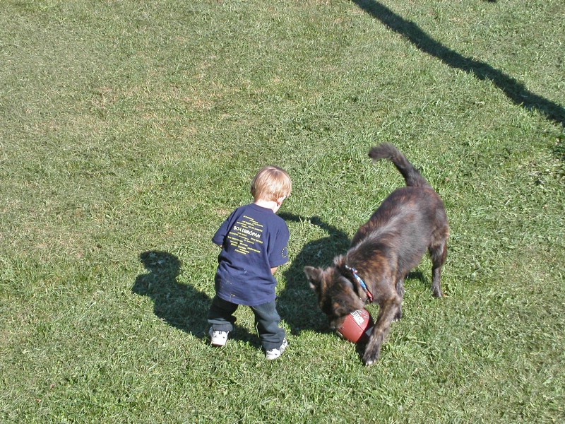 PICT0221.jpg