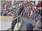 PICT0076.jpg