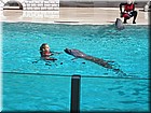 PICT0078.jpg