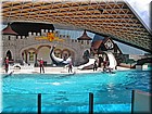 PICT0080.jpg