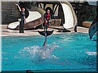PICT0086.jpg