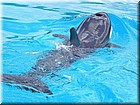 PICT0109.jpg