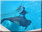 PICT0112.jpg