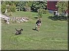 PICT0219.jpg