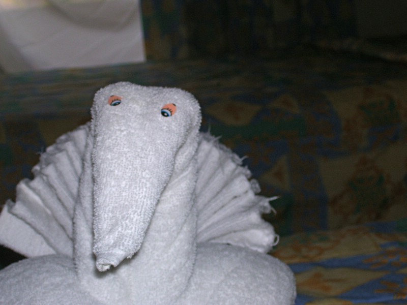 100_0346.JPG