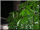 100_0280.JPG