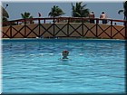 100_0341.JPG