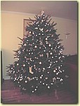 xmas