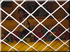 IMG_0229.JPG
