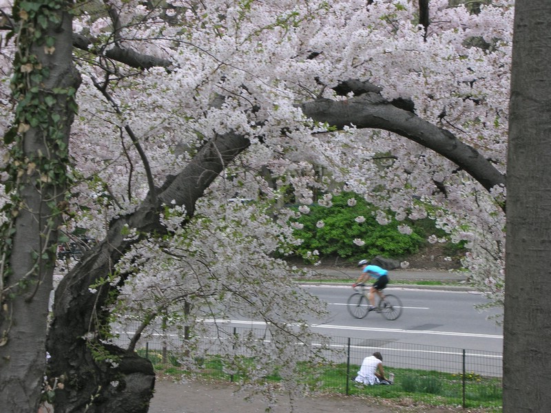 DSCN0632.JPG