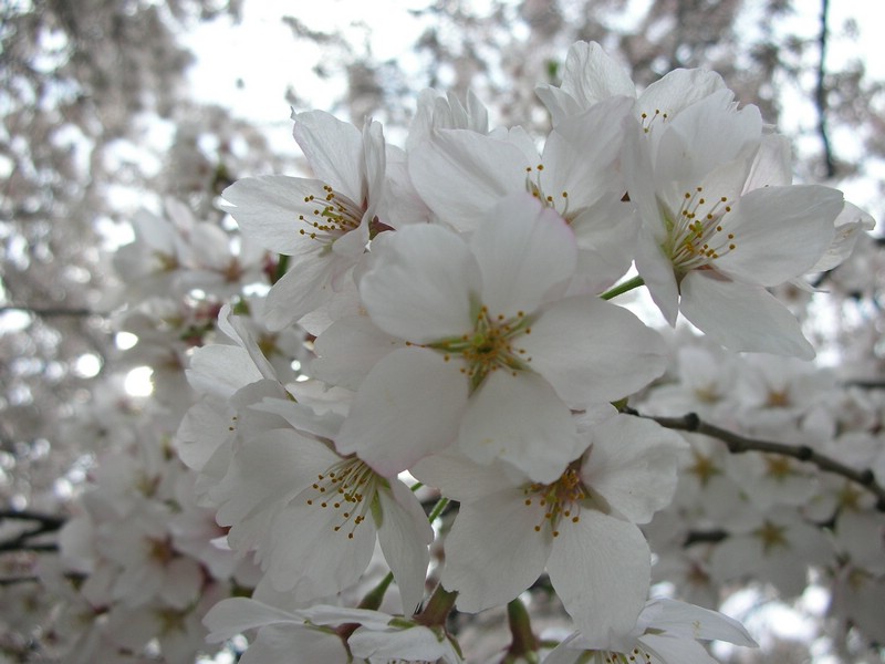 DSCN0635.JPG