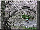 DSCN0632.JPG