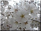 DSCN0635.JPG