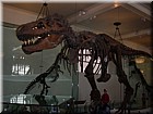 DSCN0697.JPG