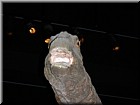 DSCN0700.JPG
