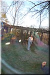DSC_1930.JPG