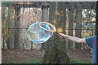 DSC_1946.JPG