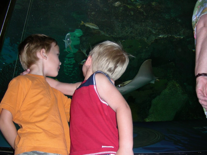 DSCN1130.JPG
