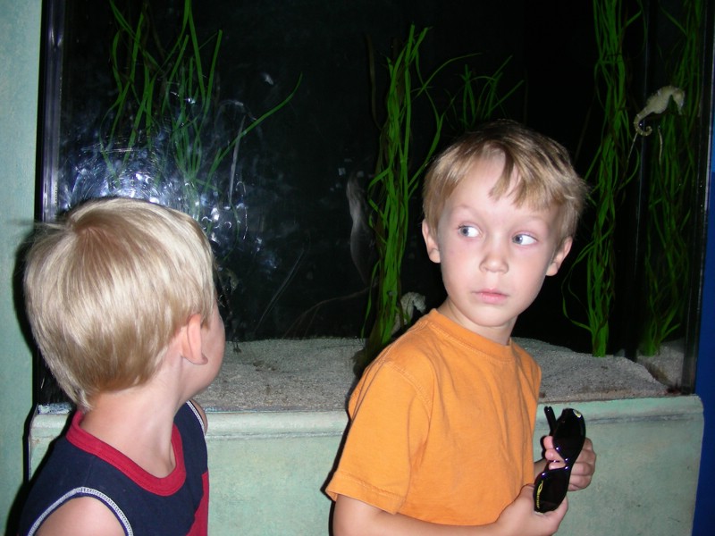 DSCN1133.JPG