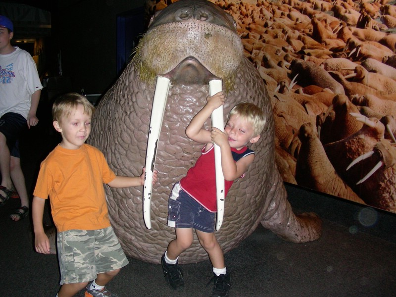 DSCN1134.JPG