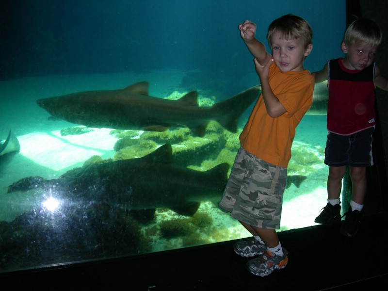 DSCN1135.JPG