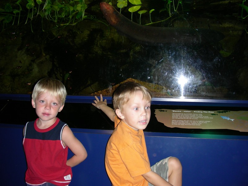 DSCN1139.JPG