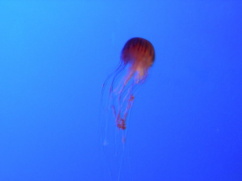 DSCN1140.JPG