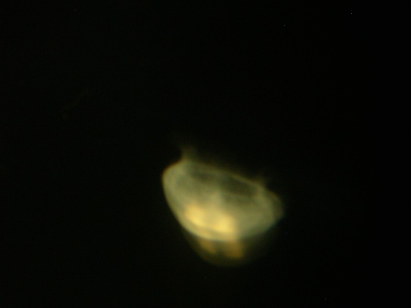 DSCN1141.JPG