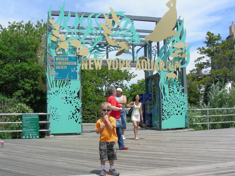 DSCN1155.JPG